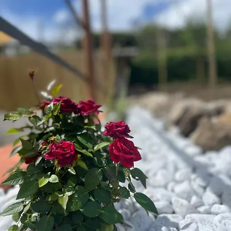 Pina's House Pianillo